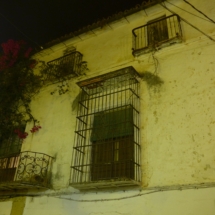 Hamacher 15