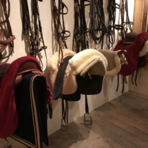 Hamacher 17